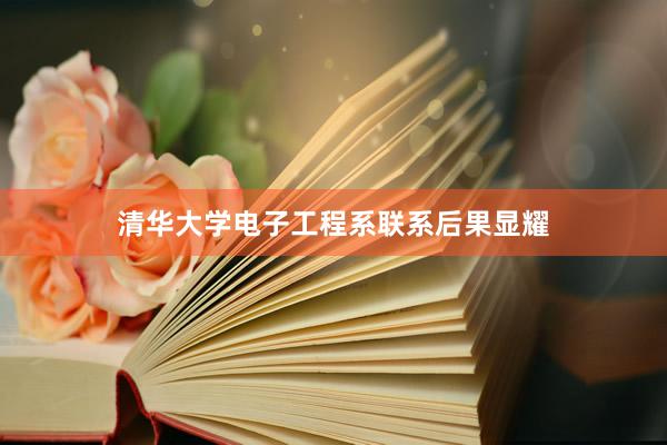清华大学电子工程系联系后果显耀